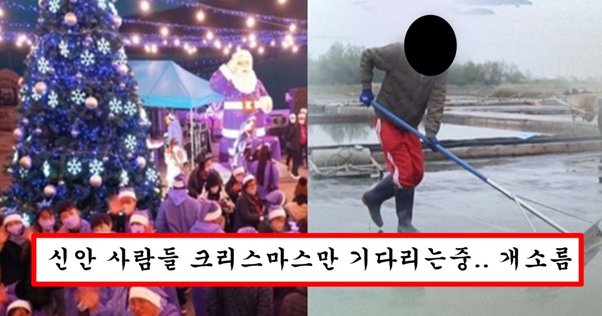 크리스마스에 엄청난 이벤트 해서 10만명 몰린다는 신안 이번에 가면 진짜 ㅈ되는 이유