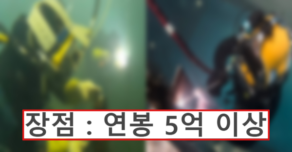 일단 할줄만 알면 연봉 5억 이상은 밥이라는 직업