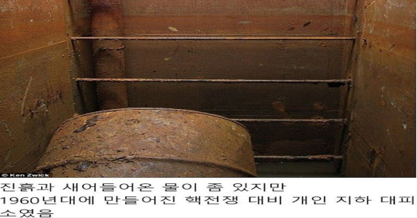 미국 주택 뒷마당에서 발견된 것